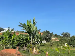 50 by 100 Land for Sale Near Akright Entebbe