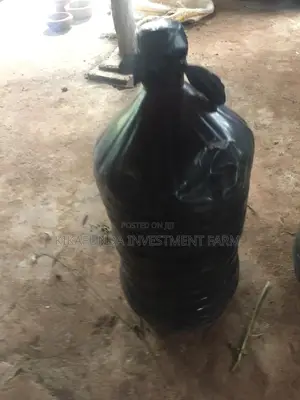 Conc Rabbit Urine B