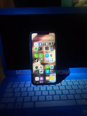 Apple iPhone 11 Pro Max 256 GB Gray