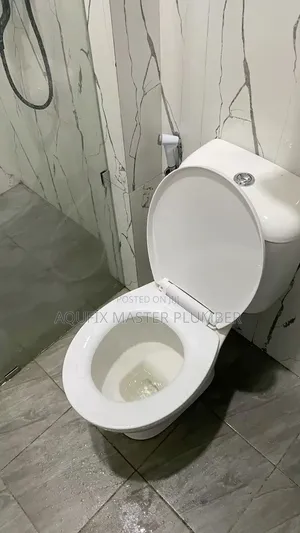 Siting Pan Toilet