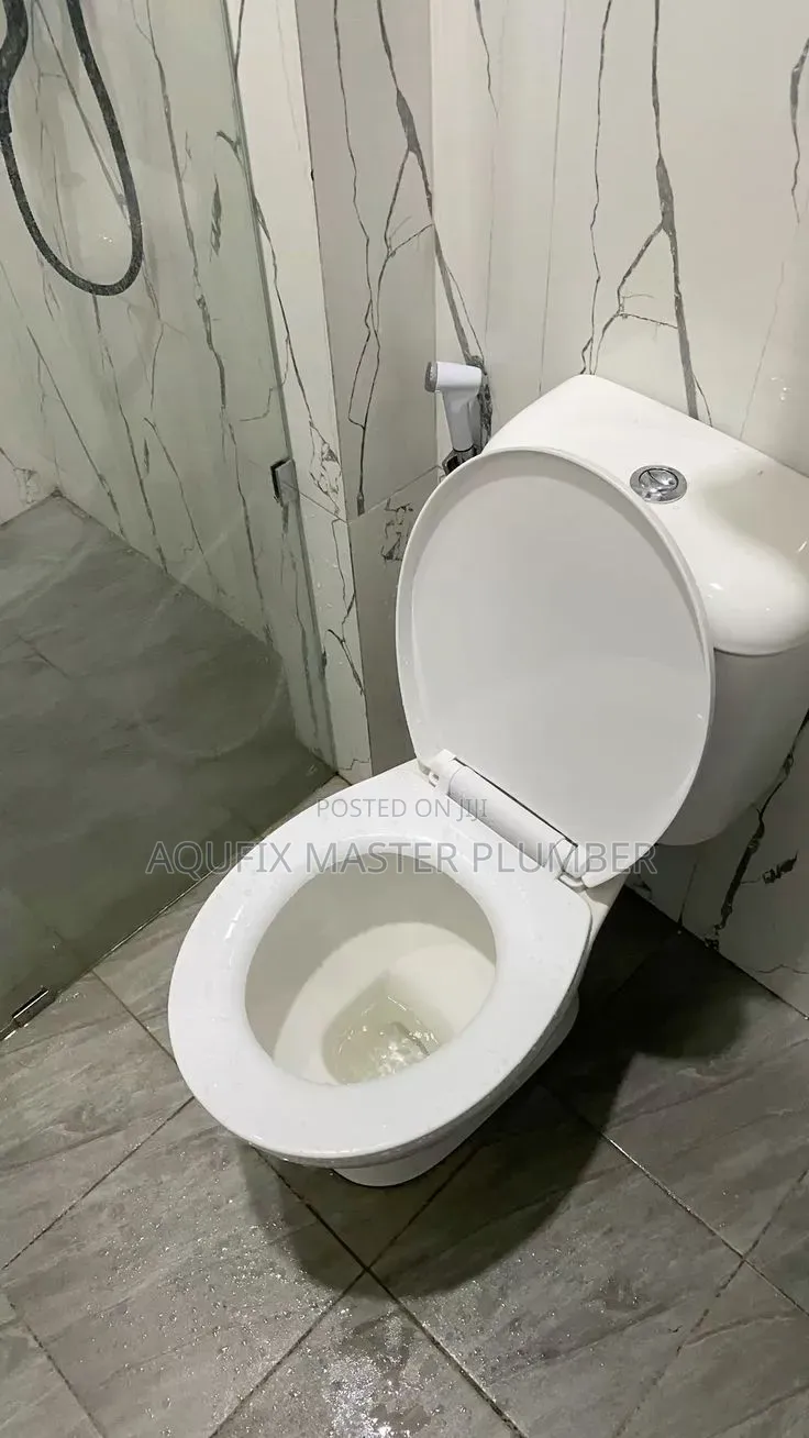Siting Pan Toilet