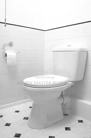 Siting Pan Toilet