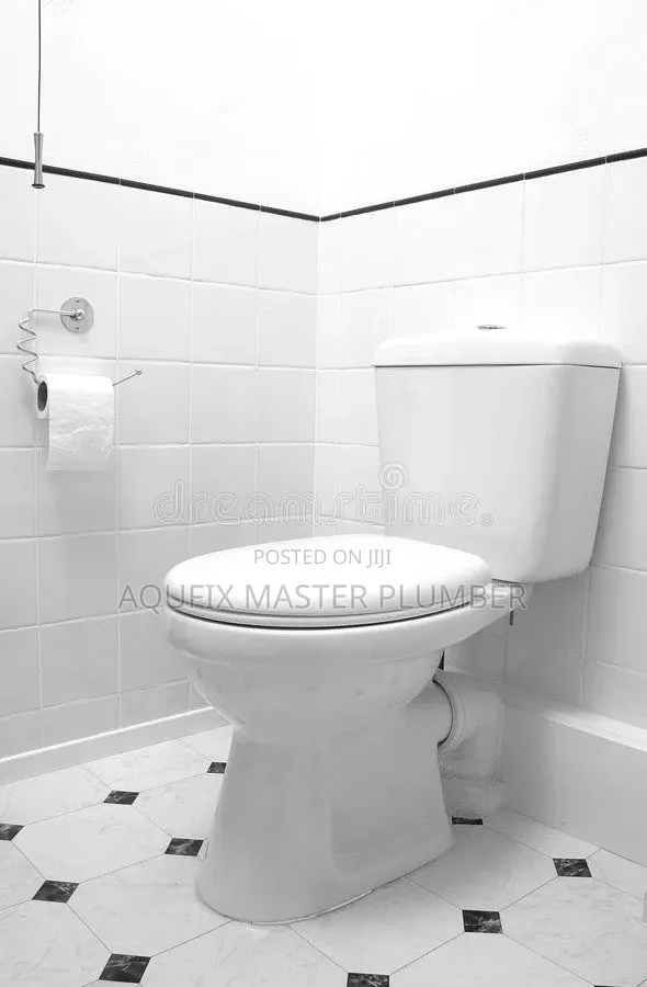 Siting Pan Toilet