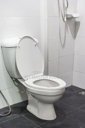 Siting Pan Toilet