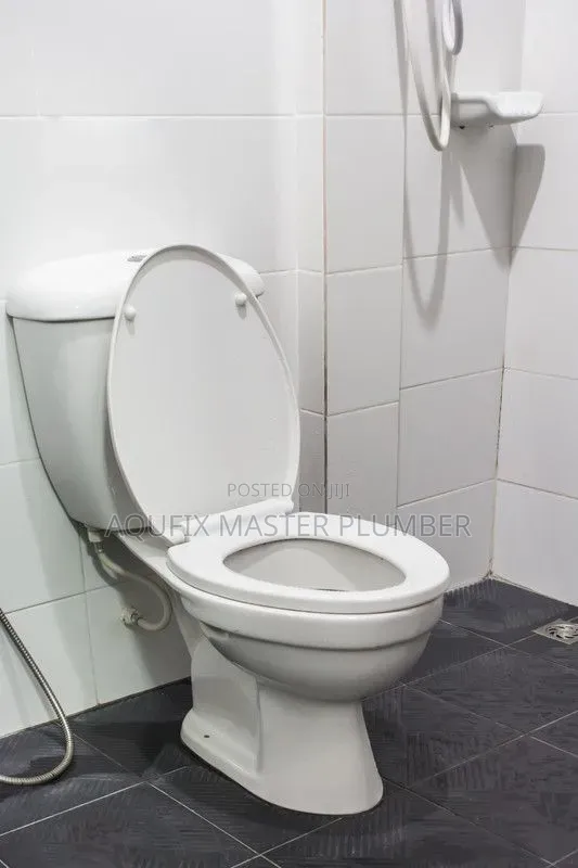 Siting Pan Toilet
