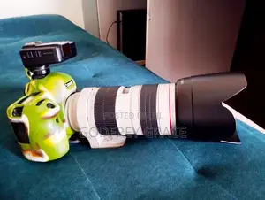 Canon 6d With 70-200mm White Lens