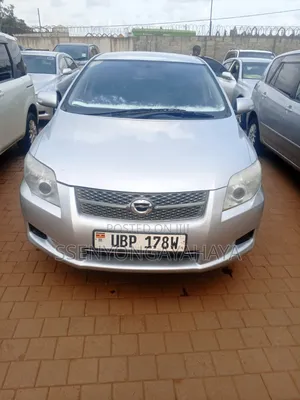 Toyota Corolla Fielder 2007 Silver