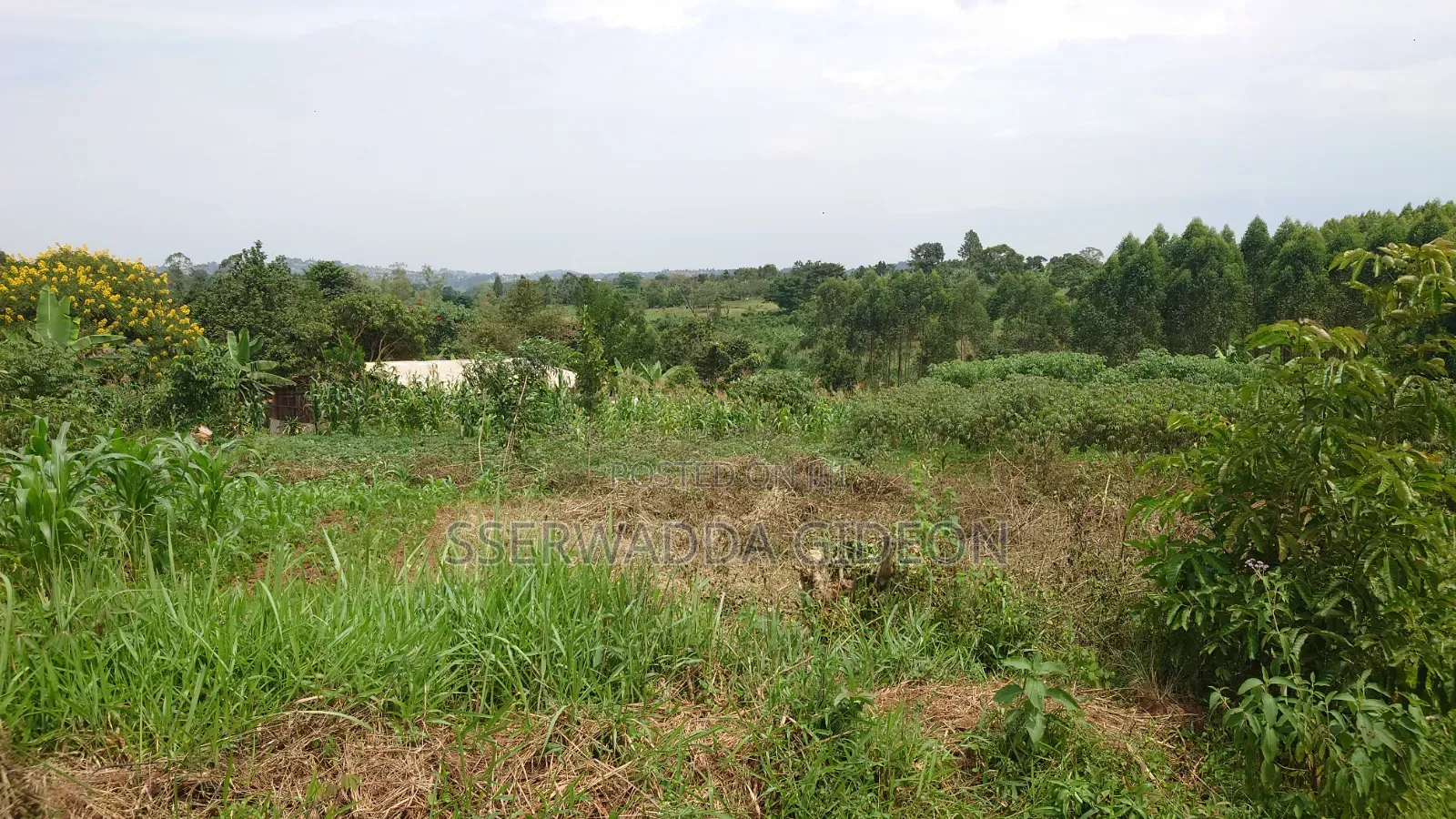 Titled Plots of Land for Sale in Kasaayi Bukerere