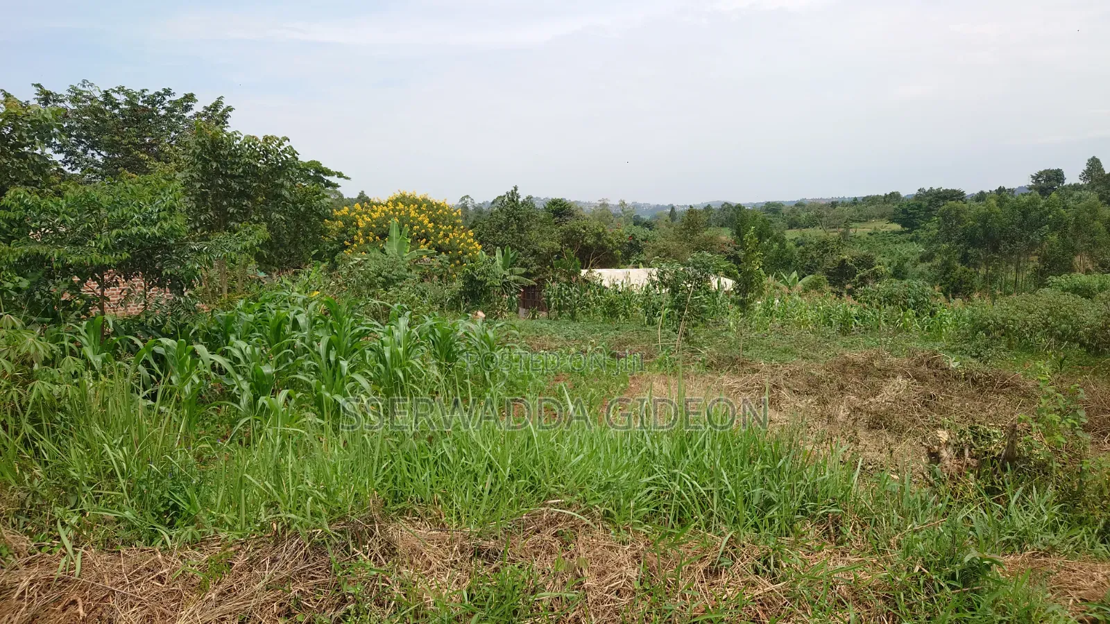 Titled Plots of Land for Sale in Kasaayi Bukerere