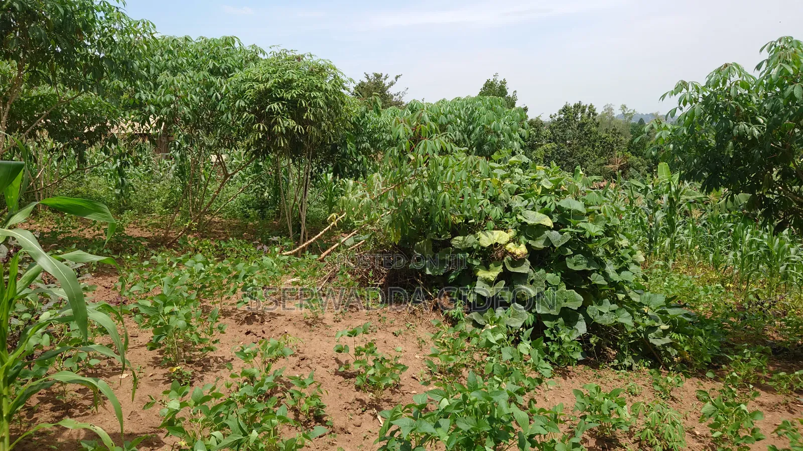 Titled Plots of Land for Sale in Kasaayi Bukerere