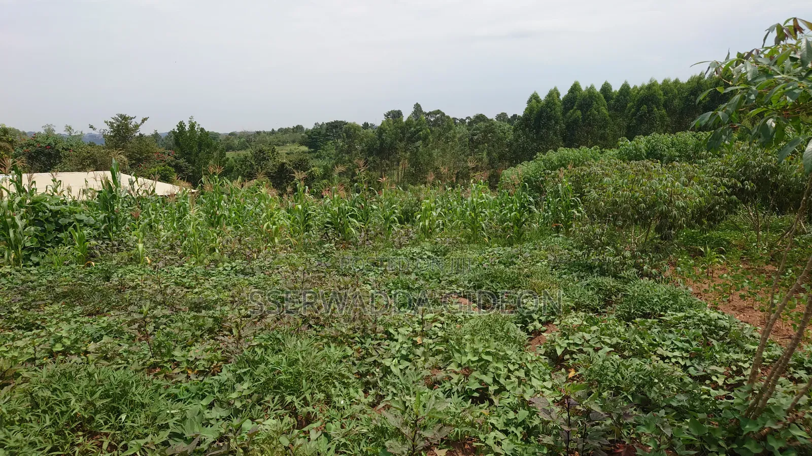 Titled Plots of Land for Sale in Kasaayi Bukerere