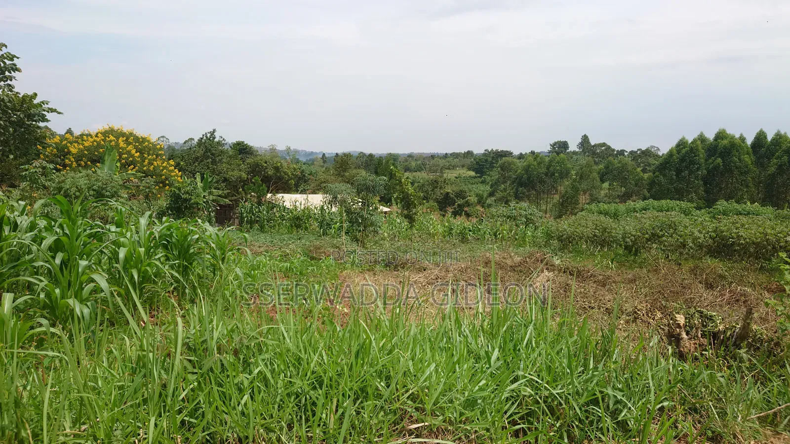 Titled Plots of Land for Sale in Kasaayi Bukerere