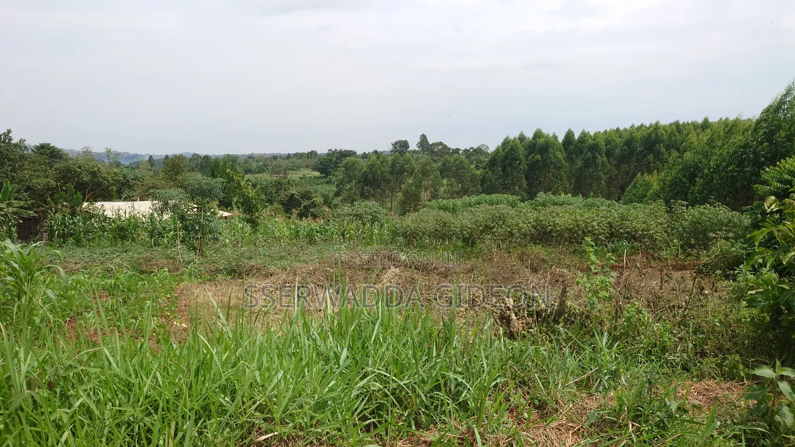 Titled Plots of Land for Sale in Kasaayi Bukerere