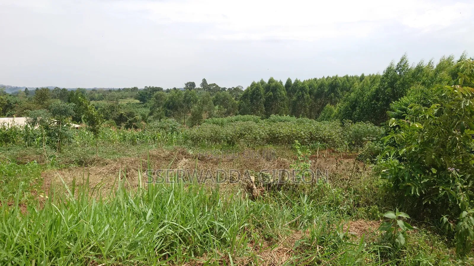 Titled Plots of Land for Sale in Kasaayi Bukerere