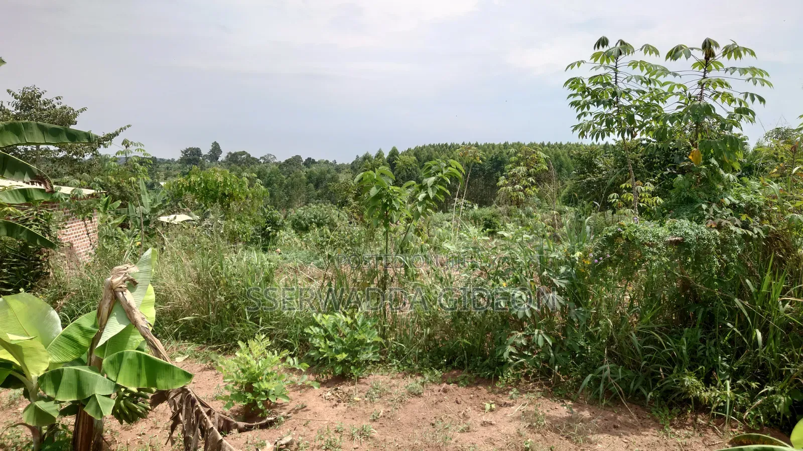 Titled Plots of Land for Sale in Kasaayi Bukerere