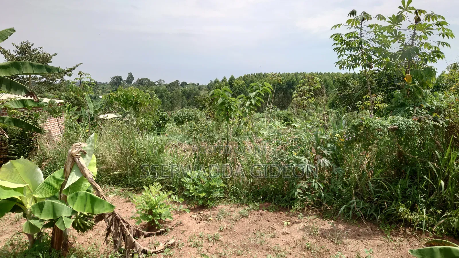 Titled Plots of Land for Sale in Kasaayi Bukerere