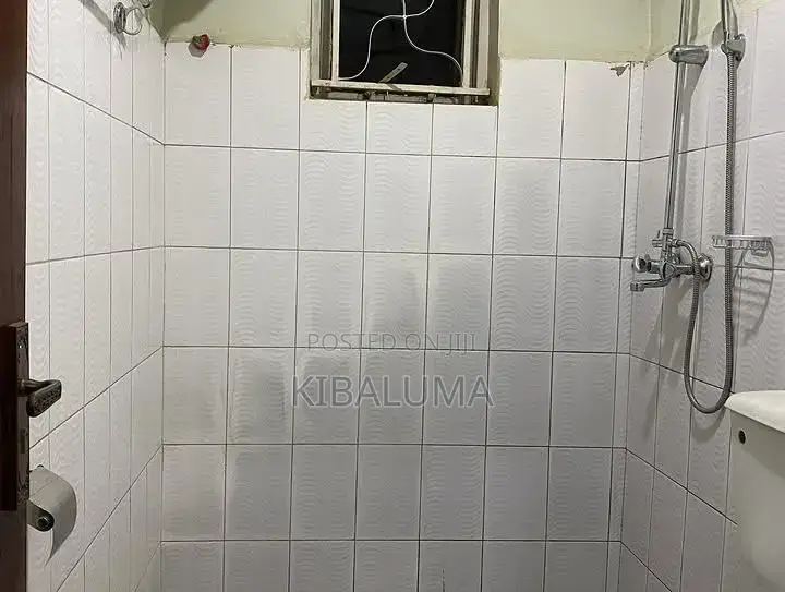 1bdrm Apartment in Kansanga, Makindye for rent