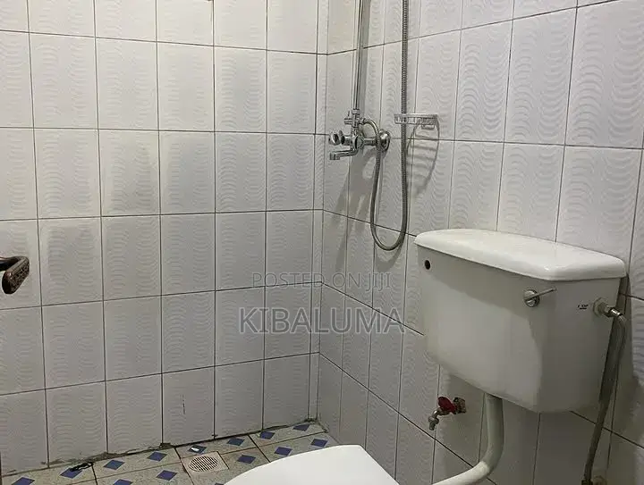 1bdrm Apartment in Kansanga, Makindye for rent