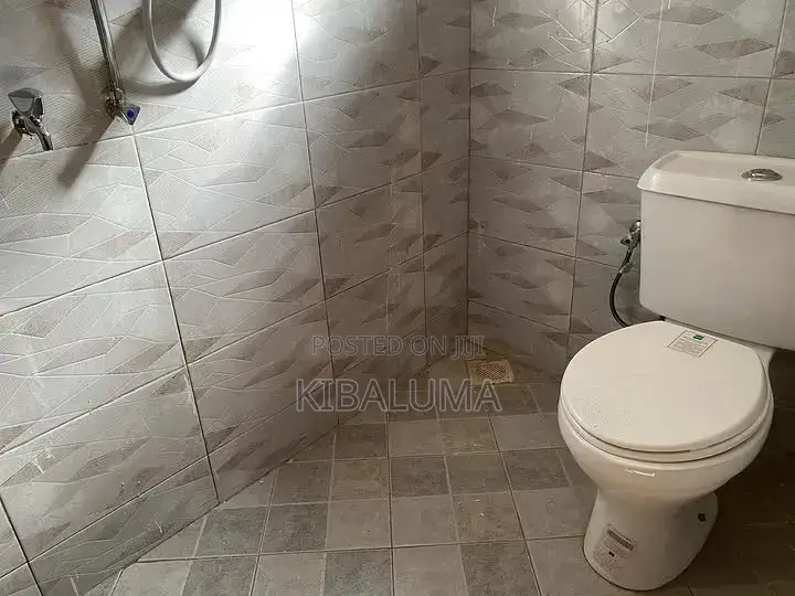 1bdrm Apartment in Buziga, Makindye for rent