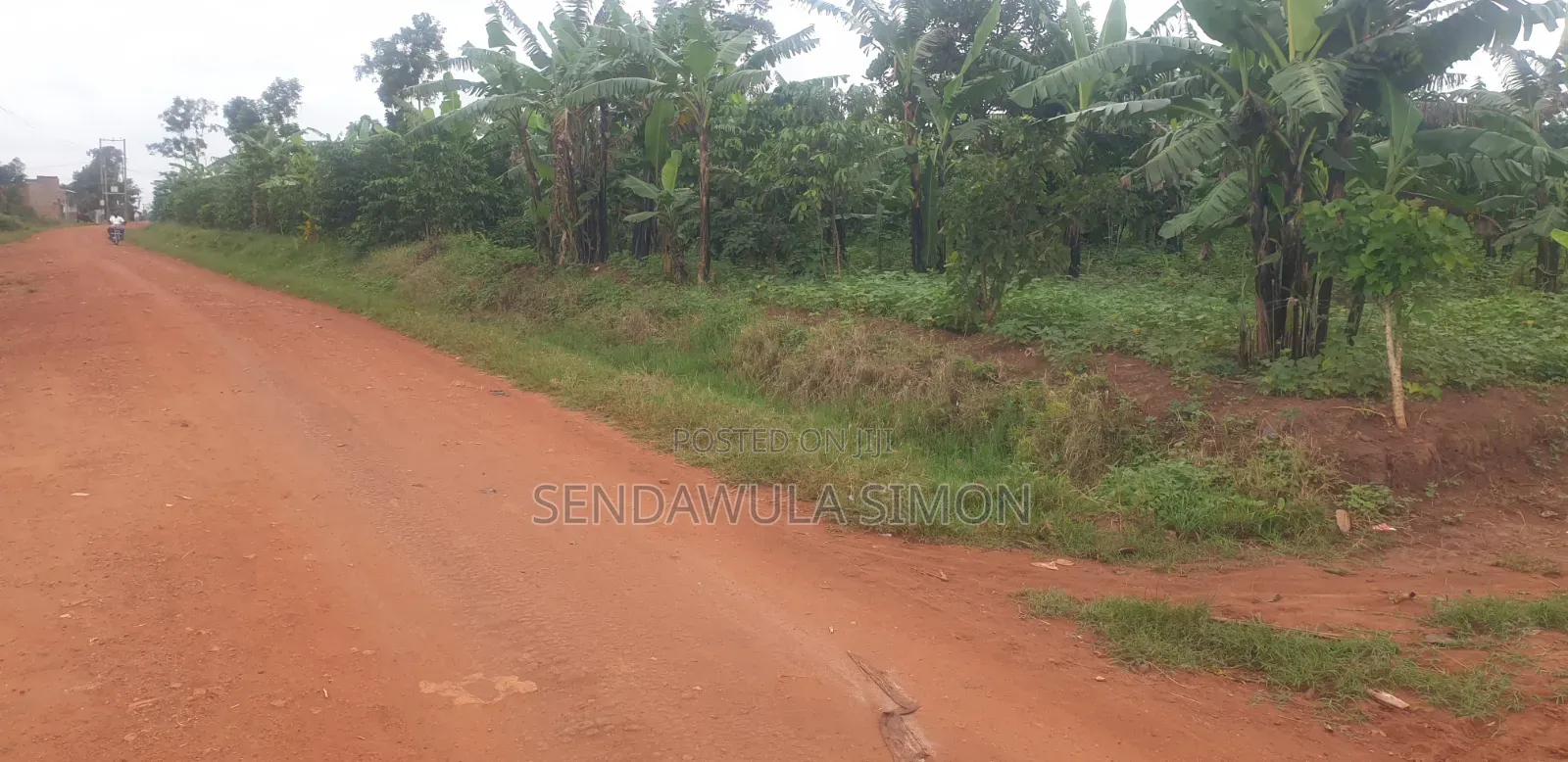Commercial Land for Sale