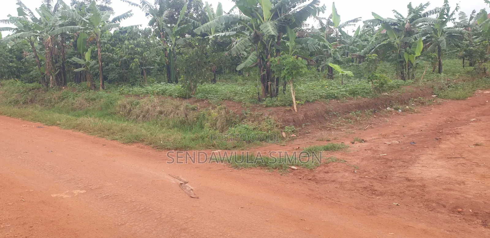 Commercial Land for Sale