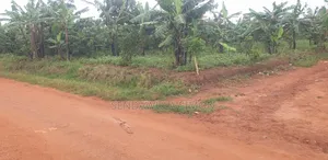 Commercial Land for Sale