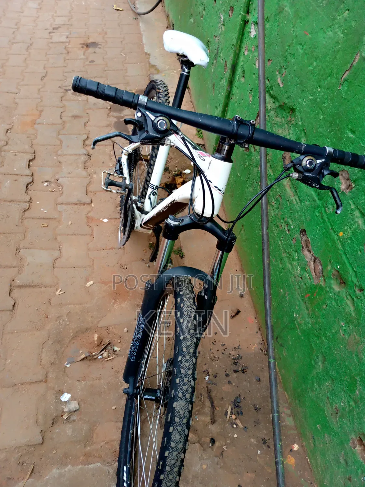Mountain Bike