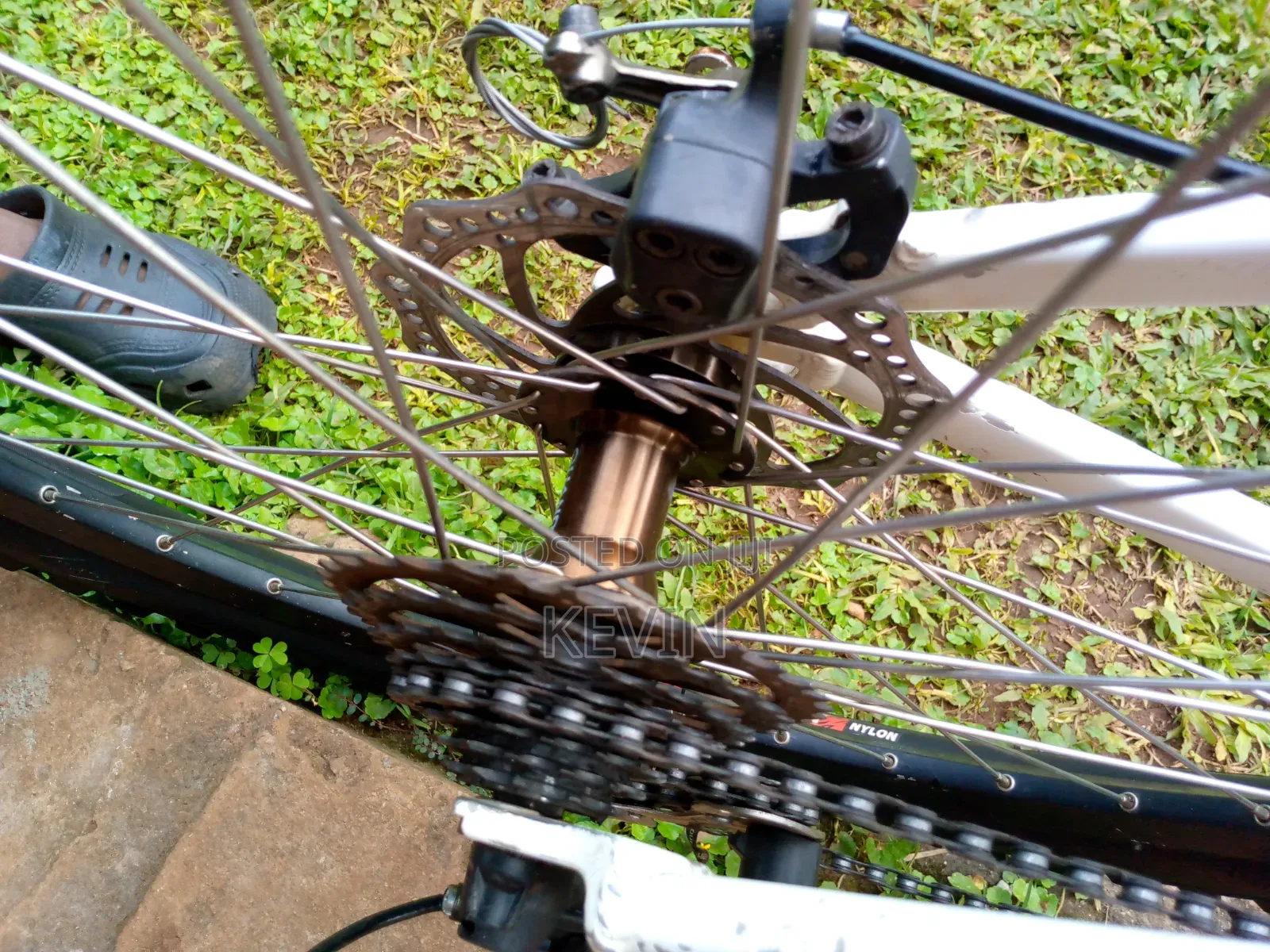 Mountain Bike