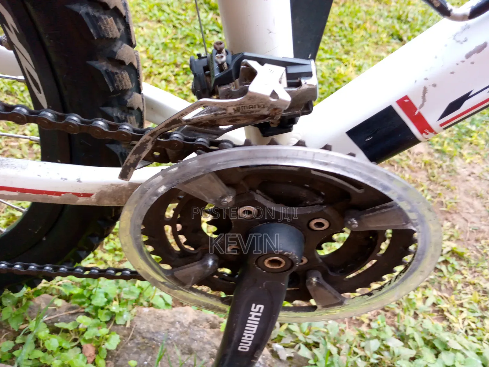 Mountain Bike