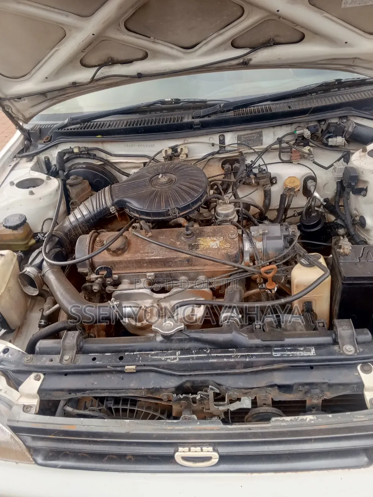 Toyota Corolla 1998 White