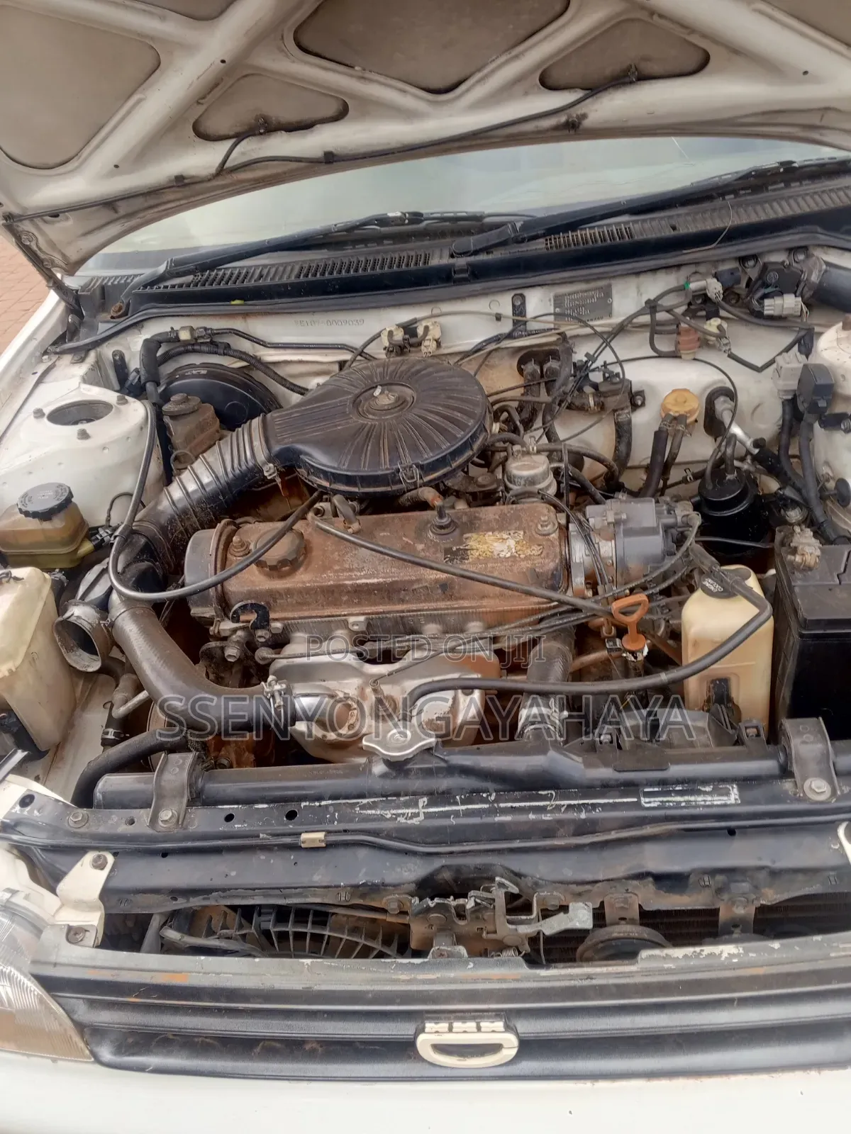 Toyota Corolla 1998 White