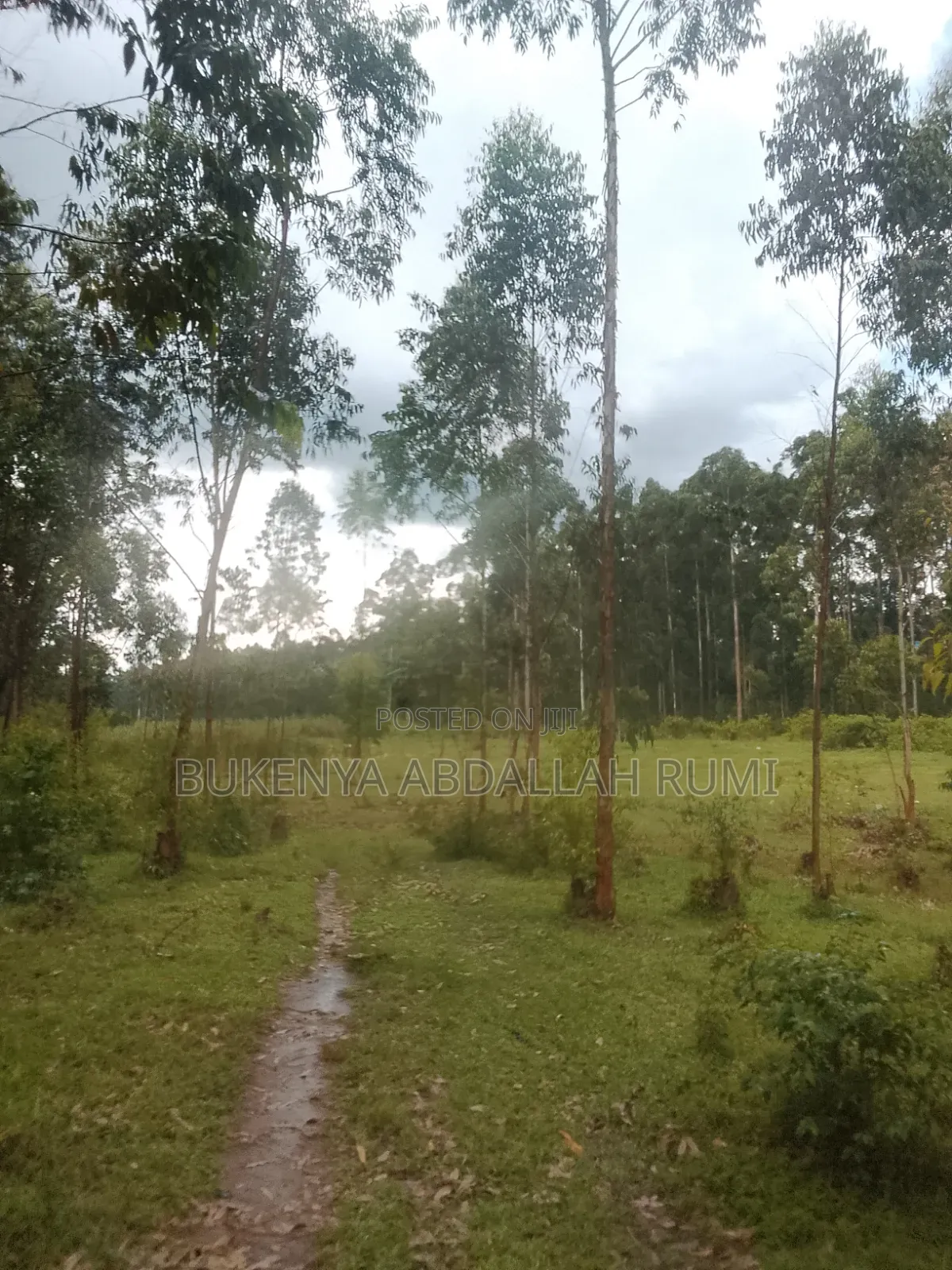2 Acres of Land for Sale Located in Kamengo Bushenyi Village