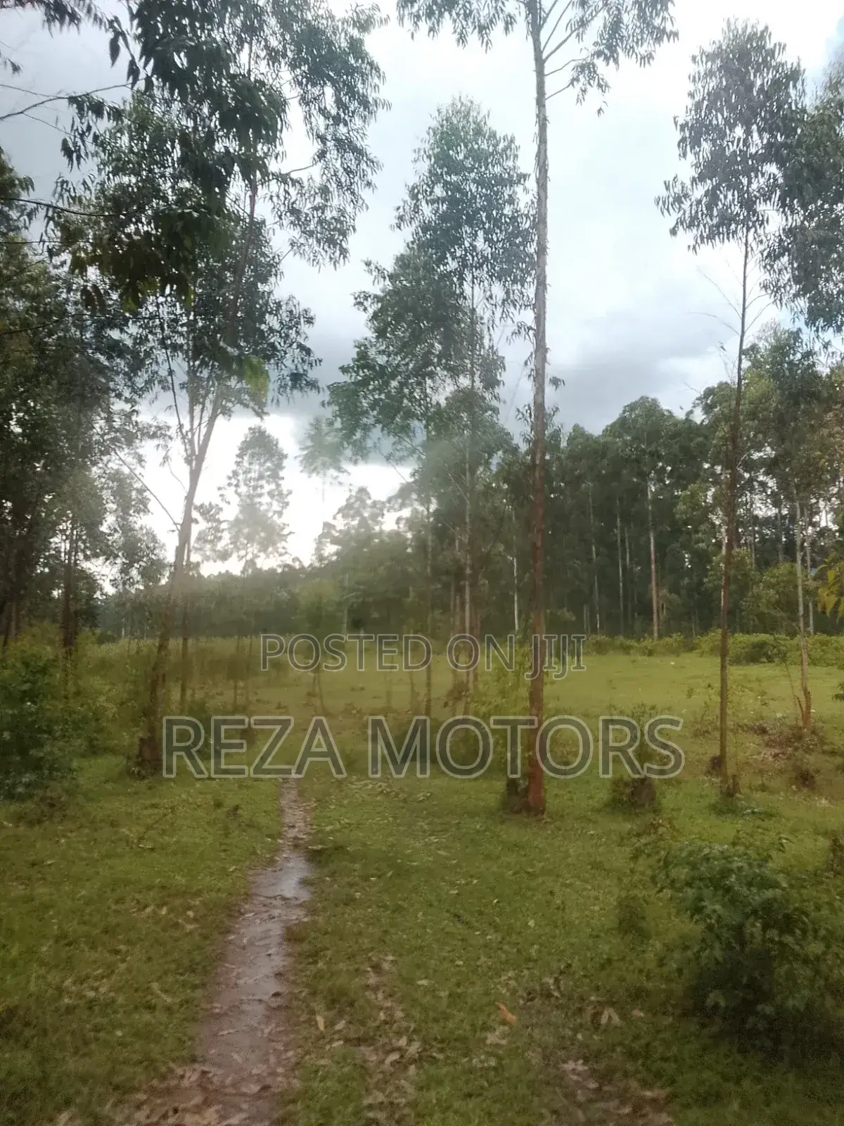 2 Acres of Land for Sale Located in Kamengo Bushenyi Village