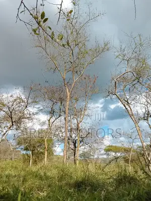 2 Acres of Land for Sale Located in Kamengo Bushenyi Village