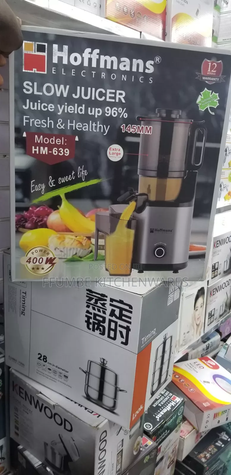 Electric Slow Juicer