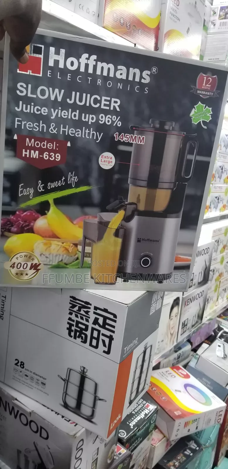 Electric Slow Juicer
