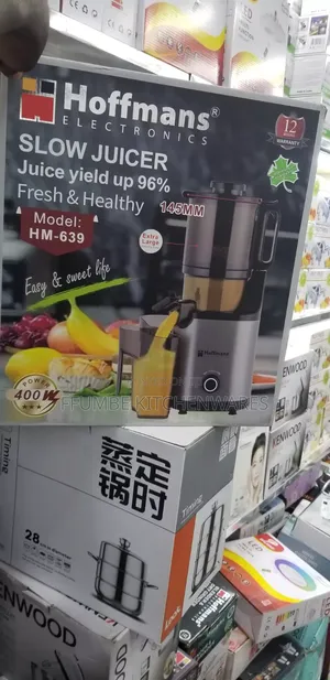 Electric Slow Juicer