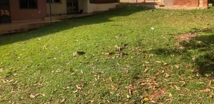 4bdrm Bungalow in Central Division for sale