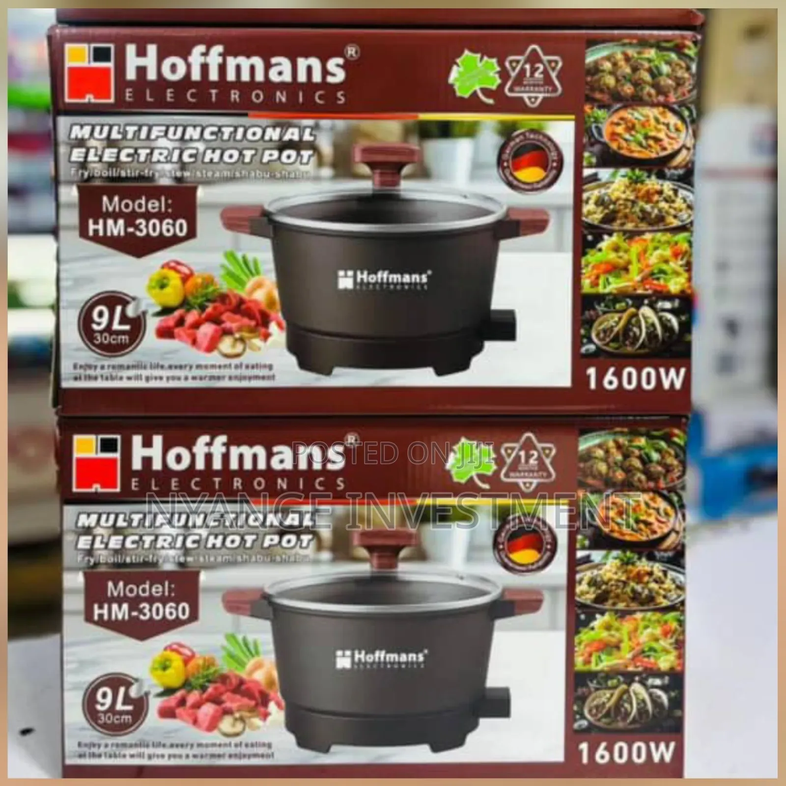Hoffmans 9l Multifunctional Electric Hot Pot, Model Hm-3060.  Pot