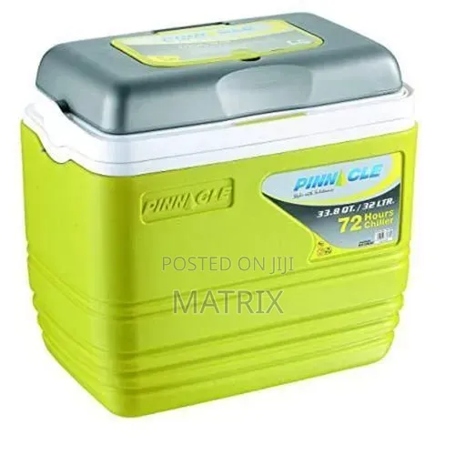 Pinnacle 32l Insulated Ice Cooler Chiller Box