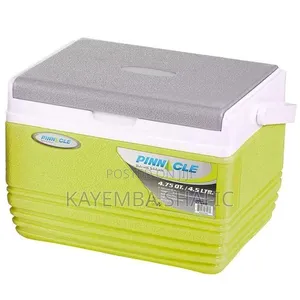 Pinnacle Insulated 4.5l Ice Cooler Chiller Box