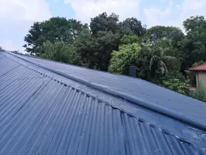 Old Roof Waterproofing | Painting