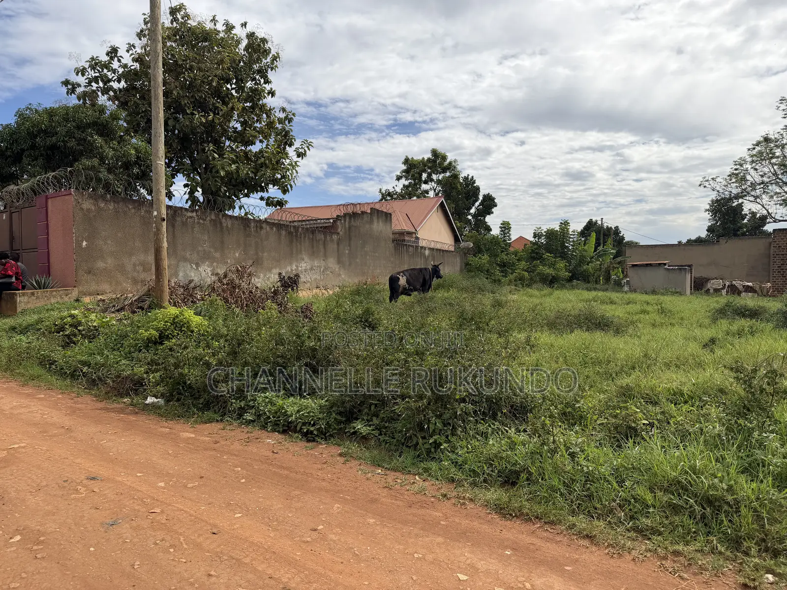 Land in Bajjo,Seeta 50 by 100