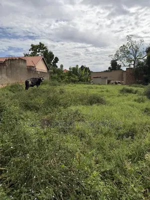 Land in Bajjo,Seeta 50 by 100