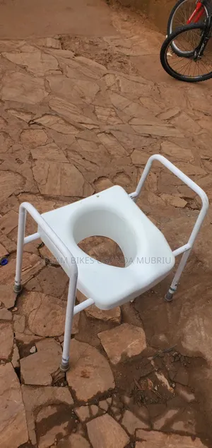 Potty Chair