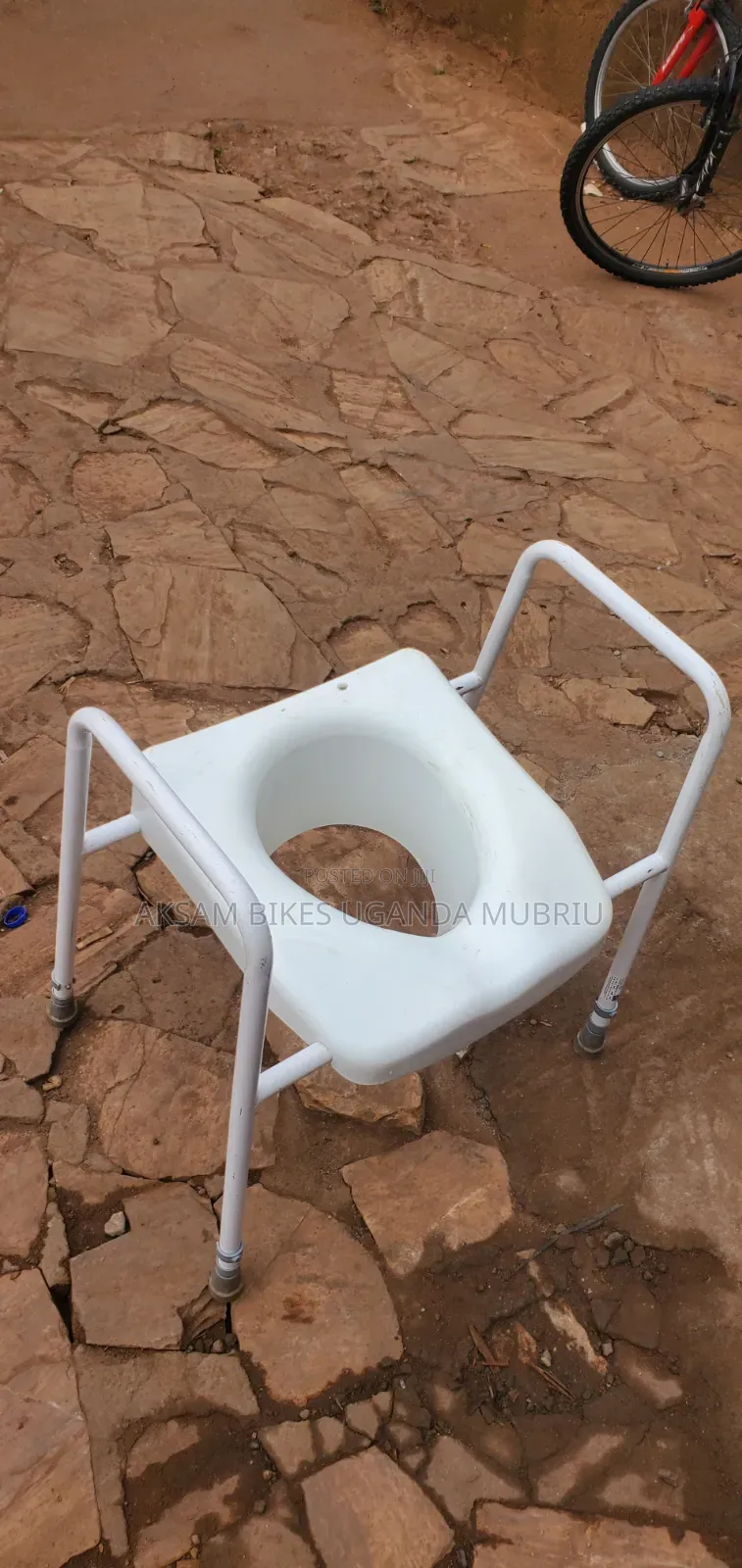 Potty Chair