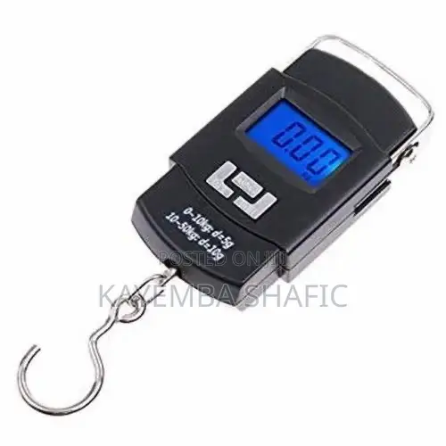 Portable 50kg Digital Weighing Scale