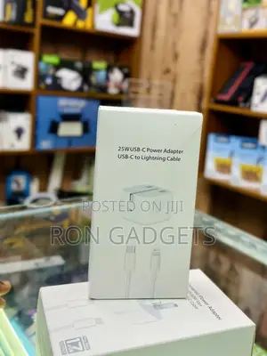 25watts iPhone Charger