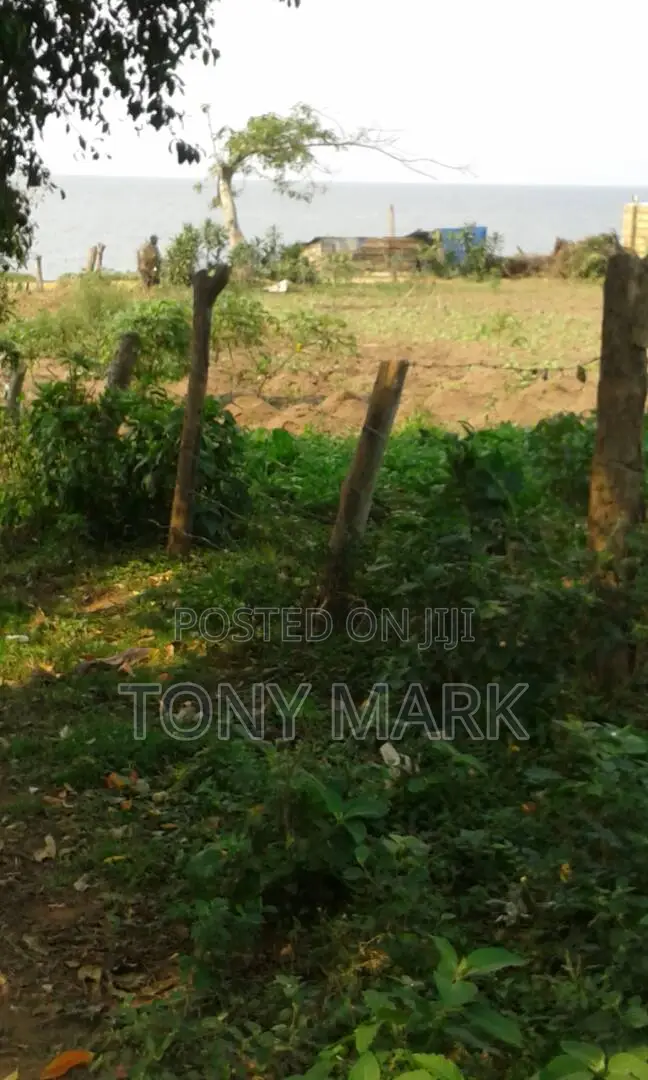 Entebbe Airport Six Minutes Drive,Lake Front View Plots for Sale