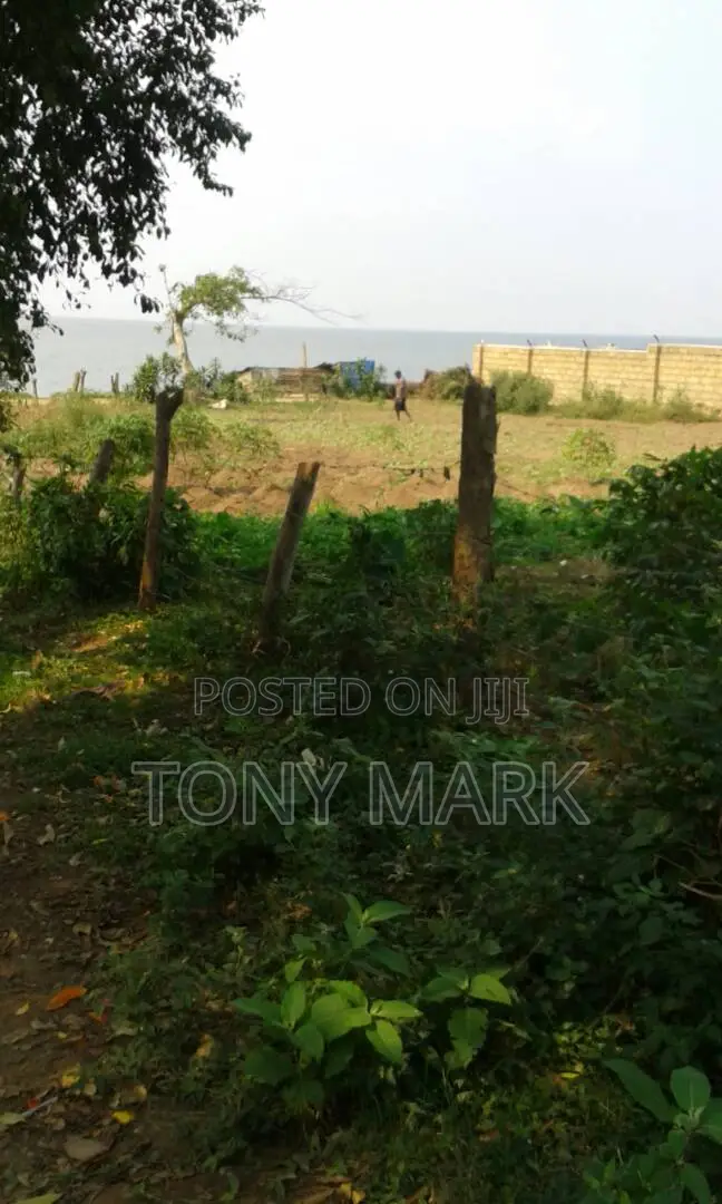 Entebbe Airport Six Minutes Drive,Lake Front View Plots for Sale
